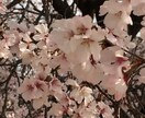 3日間LINE感覚で♡あなたにたっぷり寄り添います 何気ない会話•友達みたい•愚痴•お悩み•気軽に♡ イメージ3