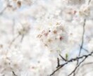 発達グレー×小学校受験の悩み、経験ママが聞きます 誰にも聞けなかった受験と発達の悩み、安心して話してください イメージ1