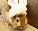 2児ママが相談のります ５分からでも大丈夫で恋愛でもなんでもお話ください^_^ イメージ1