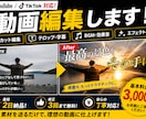 YouTube・TikTok動画編集しますます 短納期・低価格で丁寧に対応します イメージ1