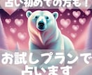 恋愛・仕事・人間関係お試しプランタロットで占います 占いが初めての方、初めてでない方もお気軽にお試しください。 イメージ1