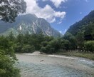 お花の写真メインで提供します お花、風景をメインに写真提供します。 イメージ6