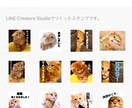 写真をLINEスタンプにします 即時対応しています！早期対応心掛けてます！ イメージ1