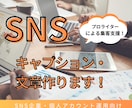 Instagramの文章・キャプションを作成します XやFBなどのSNS投稿もOK！ 集客・売上UPを支援！ イメージ1