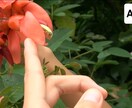 低画質の動画をAIで高画質に変換します 昔、撮影した動画など、低画質の動画をAIの力で高画質化します イメージ1