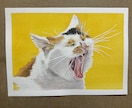 原画(猫、犬)イラスト販売します 猫犬好きの方貴方のデスクに素敵なイラスト如何ですか? イメージ1