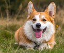 社会が怖い…対人恐怖症の方の心のサポートします 大切なのは心の境界線、私の中の私に沢山愛情を送りましょう イメージ4