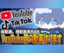 YouTube用の動画作ります 縦動画横動画両方できます！！！！ イメージ1