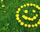 身近な人に話しづらいお悩みや愚痴聞きます 【誰かに聞いてほしい、想いを吐き出したい、とことん聞きます】 イメージ1