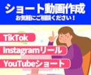 ショート動画を作ります 大量注文もOKもご相談ください！ イメージ1