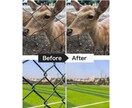 映り込んだ写真の不要物を自然に消します 余計な物をサッと除去！自然な仕上がりでお渡し イメージ3