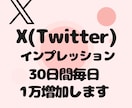 Xのインプレッション30日間毎日1万増加します あなたのアカウント信頼度高めませんか？ イメージ9