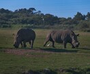 15カ国旅した世界中の写真提供します 他の国もたくさんあるので是非お声掛けください。 イメージ3