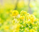 質問1つ〜OK✨ペンデュラムでYES/NO占います YES/NO、AorB、悩む時に本音に気付く二者択一を鑑定 イメージ8