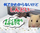 1分でもOK◎  憂鬱な朝に寄り添います 職場や学校に行けなかった辛さ話してみませんか？ イメージ2