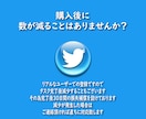 Twitter日本人に1000リツイート拡散します 日本人アカウントが1000リツイート⚡30日間減少保証付き イメージ7