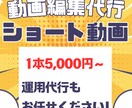 チームで丁寧に高品質ショート動画を1本作成します YouTube・TikTok・リール対応！戦略的に制作します イメージ1