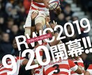 ラグビーのルール、面白さを伝えます World Cup開幕！ラグビーをより一層楽しむたに是非！ イメージ1