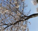 ただ話をききます 誰かに話したい！！！その話、私に聞かせてください！ イメージ1