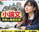 劇的現代文ラボ：あなたの小論文を劇的合格へ導きます 一歩先の合格へ！難関大突破のための徹底小論文サポート。 イメージ1