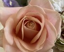 バレンタイン♡お相手のお気持ちズバリお伝えします バレンタインに♡お相手様のお気持ちをハッキリお伝えします イメージ1