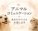 アニマルコミュニケーション動物さんとお話しします ペットの気持ちを聞いてみませんか？ イメージ1