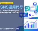 SNS投稿の作成・運用を代行します 自分のSNSを毎日運用／投稿企画から分析まで対応 イメージ1