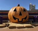 留学相談に乗ります 留学のリアルをお伝え致します。 イメージ1