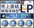 ウェブ解析士が集客導線まで考え高品質LP制作します 整体・美容・医療・講座など説明が難しいサービスを構成から設計 イメージ1