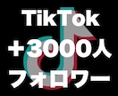 Tiktokフォロワー3000人増やします 評価貯まるまで最安★フォロワー確実に増加させます！ イメージ9