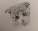 絵(デッサン、水彩ほか)の指導をさせていただきます (初心者向け)【一人一人の方に沿ったアドバイスをします】 イメージ4