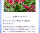 九星×マヤ×カードで本質鑑定とお悩み診断します 強みも悩みの原因も、全方位から解明。もう迷わない！ イメージ7