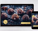 格安で高品質なランディングページを制作します 初めてでも安心！成果につながる効果的なデザインを提案します イメージ4