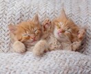 家族に否定されてばかりのあなたへ。お話し聞きます “わかって欲しい”その気持ち、ちゃんと受け取ります イメージ4