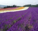 あなたに最適の旅行のプランを一緒に考えます 旅行初心者のあなたの旅行を、最高の思い出に！ イメージ7
