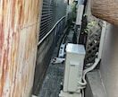 猫探偵のプロが迷子猫・脱走猫の相談に乗ります 猫探偵の捜索経験から、迷子猫・脱走猫のお悩みにお答えします イメージ2