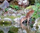 魂結び霊導鑑定で《金運の流れ》を霊視します 滞りを見極め豊かさの流れへと導き、潤いが満ちるよう整えます イメージ6