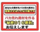 バカ売れ情報商材の「秘密の１６原則」暴露します 現役プロモーターがあなたの情報商材を生まれ変わらせます イメージ1