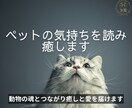 ペットの気持ちを読み、癒します 動物の魂とつながり癒しと愛を届けます イメージ1