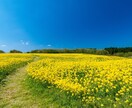 今心がめちゃくちゃ辛い！心のSOSに対応します 死にたい。とにかく辛い、どうしたらいいか？分からない方限定。 イメージ3