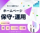 サイトの保守管理・運用をいたします HP制作後も安心！プロにお任せ！ イメージ1