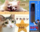 売上向上！安価で反応が取れるバナーを制作します 反応が取れるバナーデザインを丁寧に制作します イメージ4
