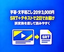 字幕・文字起こしを20分3,000円で作成します SRTとテキストで納品。20分まで3,000円・2日 イメージ1