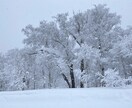 お手持ちの宝石や石のエネルギー確認致します 石も本来の力で貴方をサポートしていきたいです イメージ1