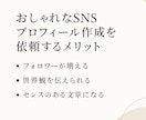 センスが光るSNSプロフィール文、お作りいたします ｜おしゃれ／透明感／世界観重視/歌い手必見/配信者 イメージ2