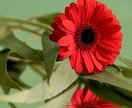 不要な無意識の思い込みを見つけて「かきかえ」ます 思考パターンを変えると現実が変わります！ イメージ7