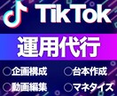 登録者20万人の運営者がtiktok運用代行します 残り2人!!今だけ″期間限定価格″で実施しております。 イメージ1