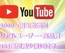 YouTube リアル再生回数2000～増やします 【120日間減少保証】ユーチューブリアル視聴回数高品質増加！ イメージ1