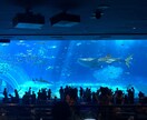 国内旅行の予約をお手伝いします 旅行の計画を立てるの好きだが予約が苦手という方へ！ イメージ8