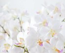 心の荷物をそっと降ろす聞き役セッションします 溜め込んでいませんか？あなたの想いを、受け止めます。 イメージ1